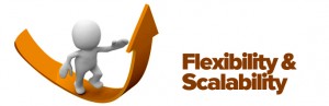 Flexibility-Scalability